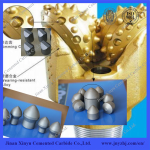 Oil and Gas Drilling Bit Use Tungsten Carbide Button Bit Yg8 Material